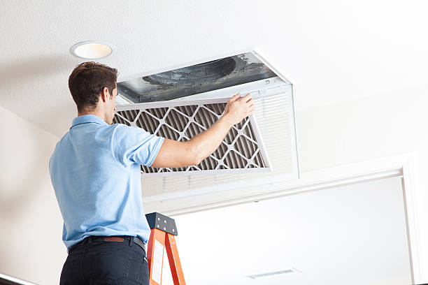 Best Air Filters and Purifiers in Cleveland, TN